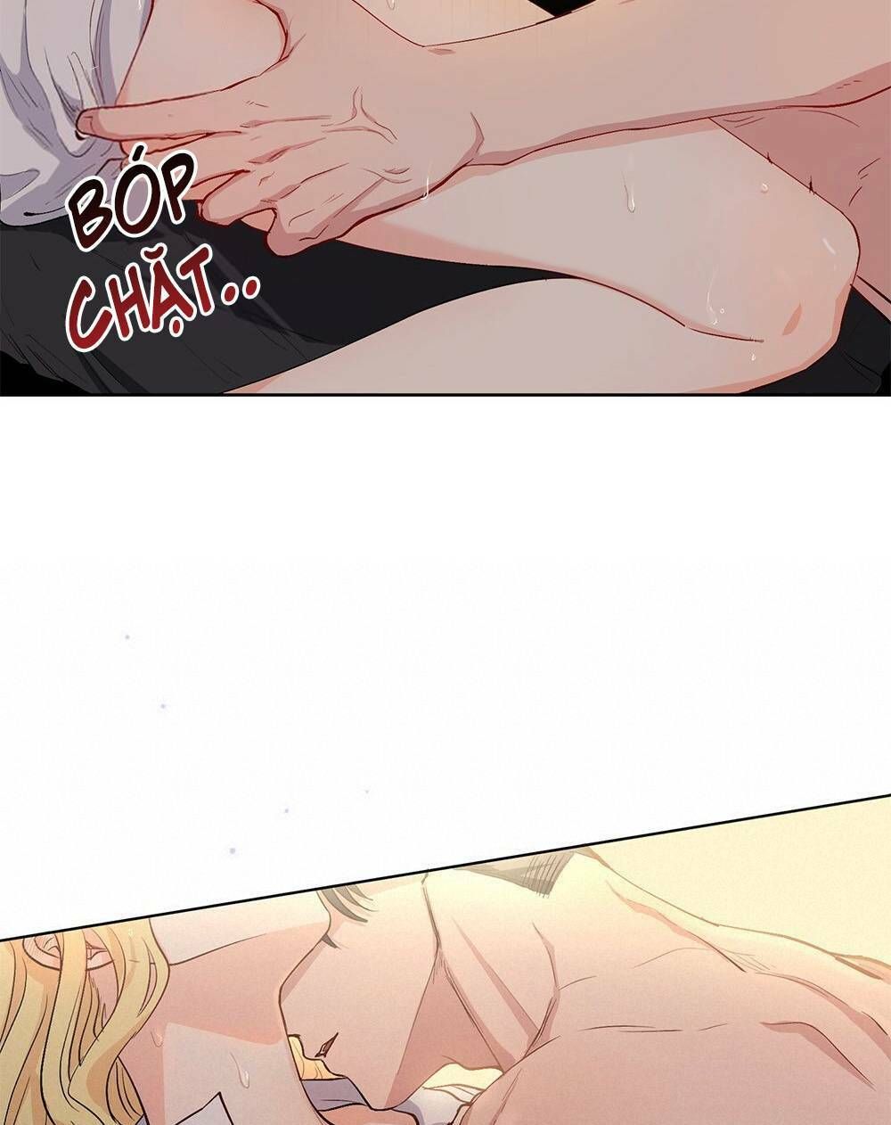 Tìm Lại Camellia Chapter 0 - 11