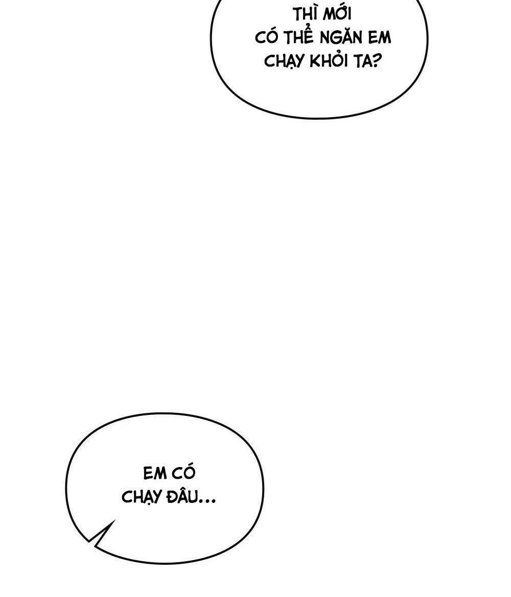 Tìm Lại Camellia Chapter 0 - 4