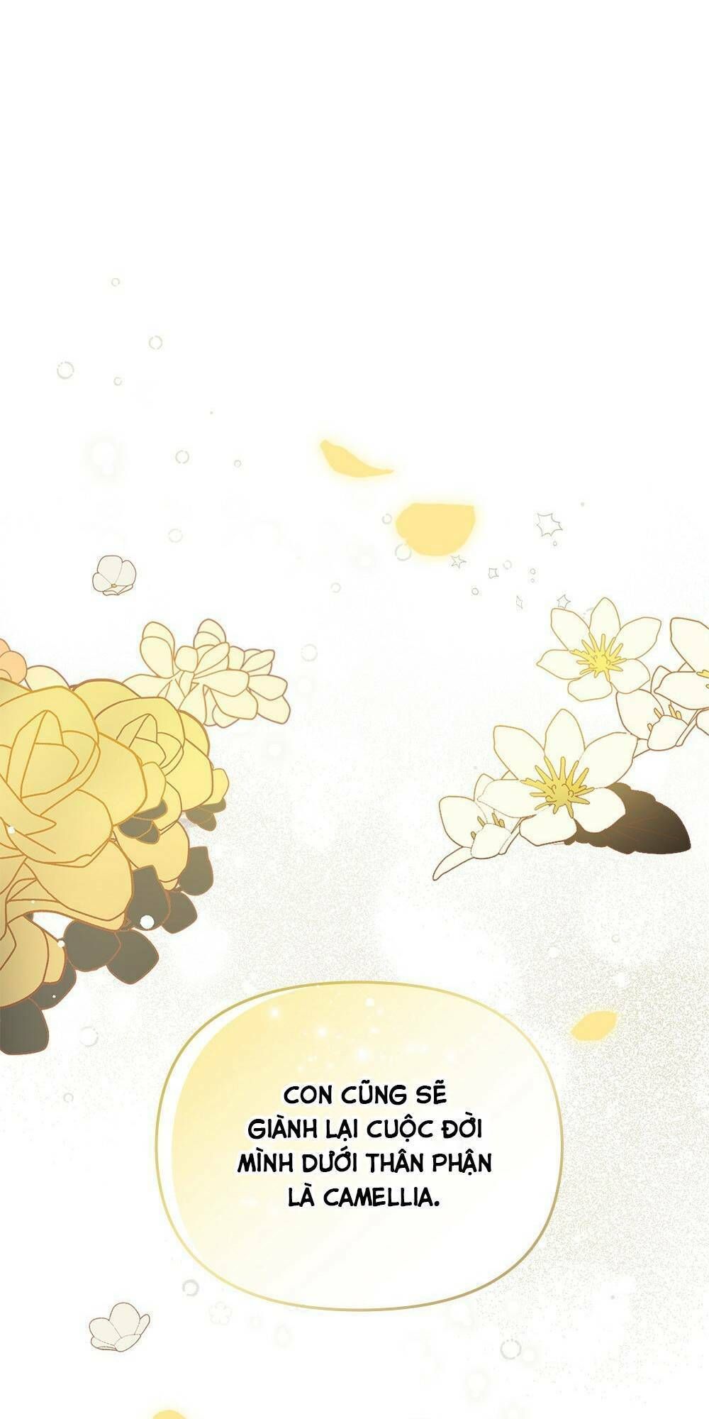 Tìm Lại Camellia Chapter 0 - 52