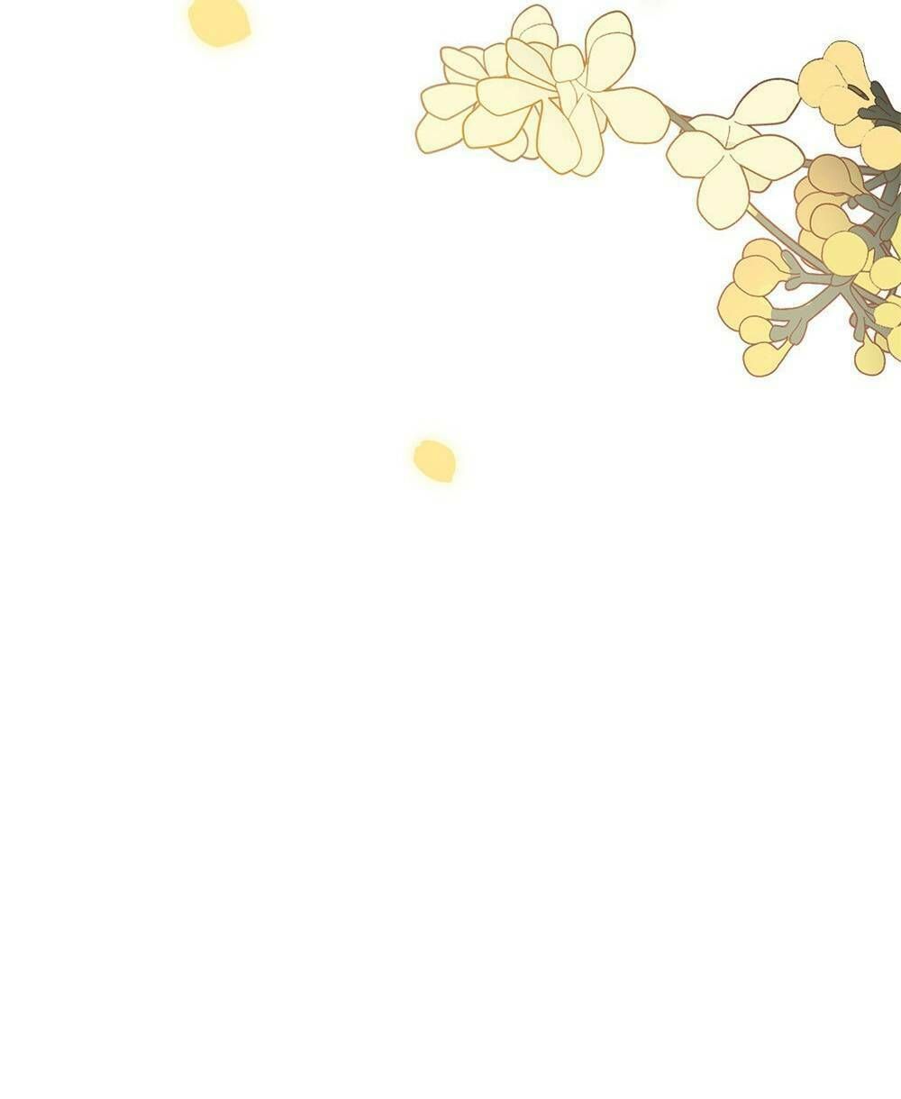 Tìm Lại Camellia Chapter 0 - 53