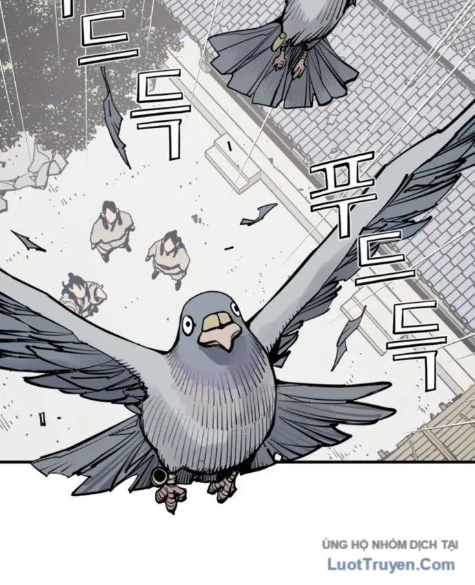 Sát Thủ Tống Lý Thu Chapter 135 - 65