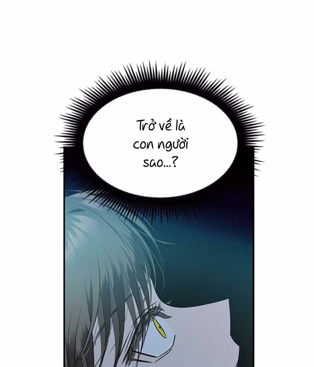 Cạm Bẫy Chapter 147 - 74