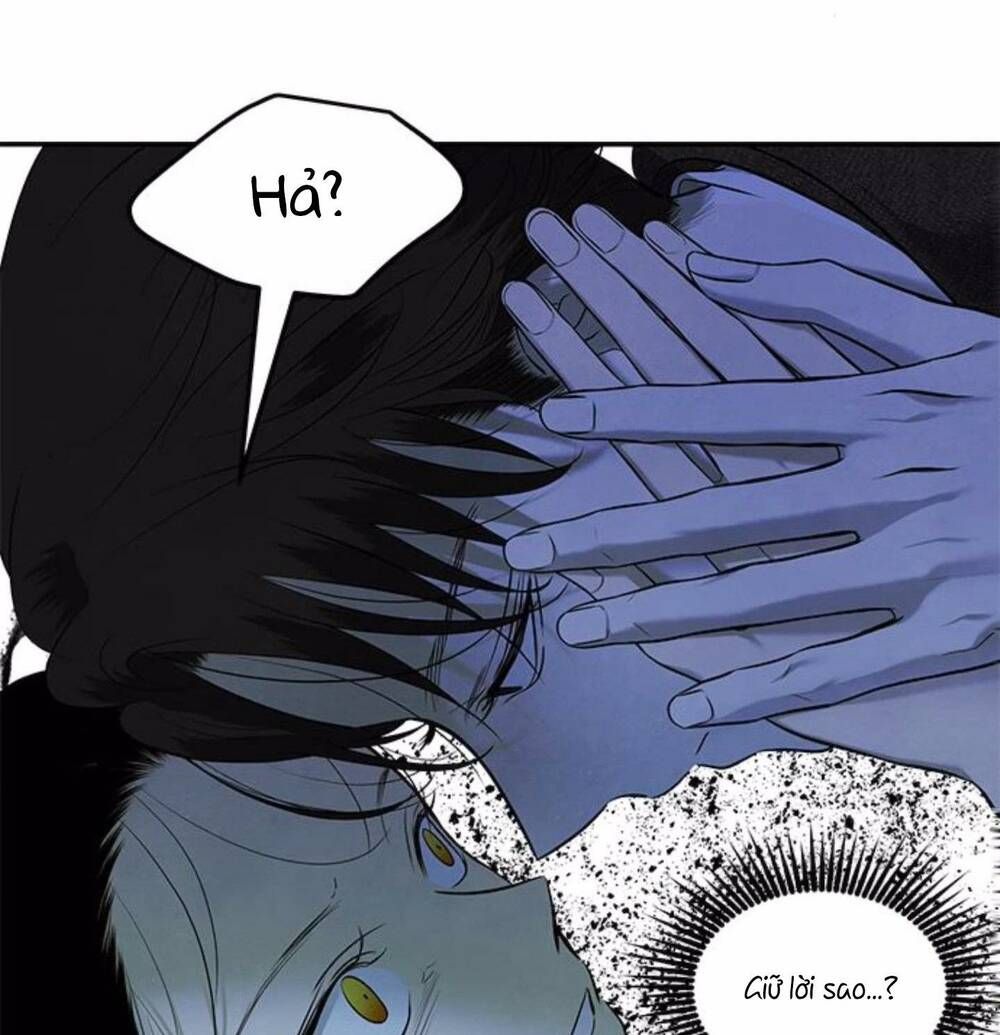 Cạm Bẫy Chapter 151 - 54