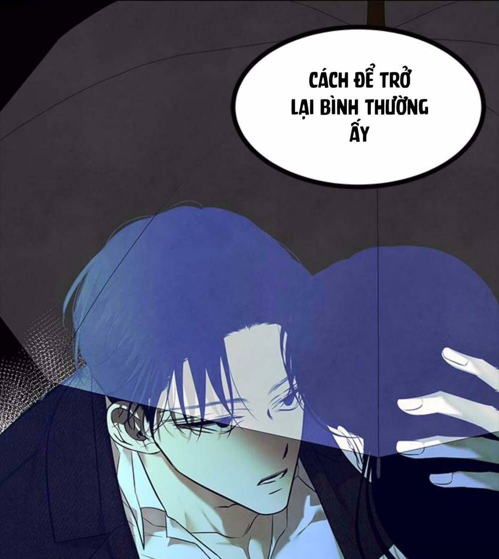 Cạm Bẫy Chapter 151 - 75