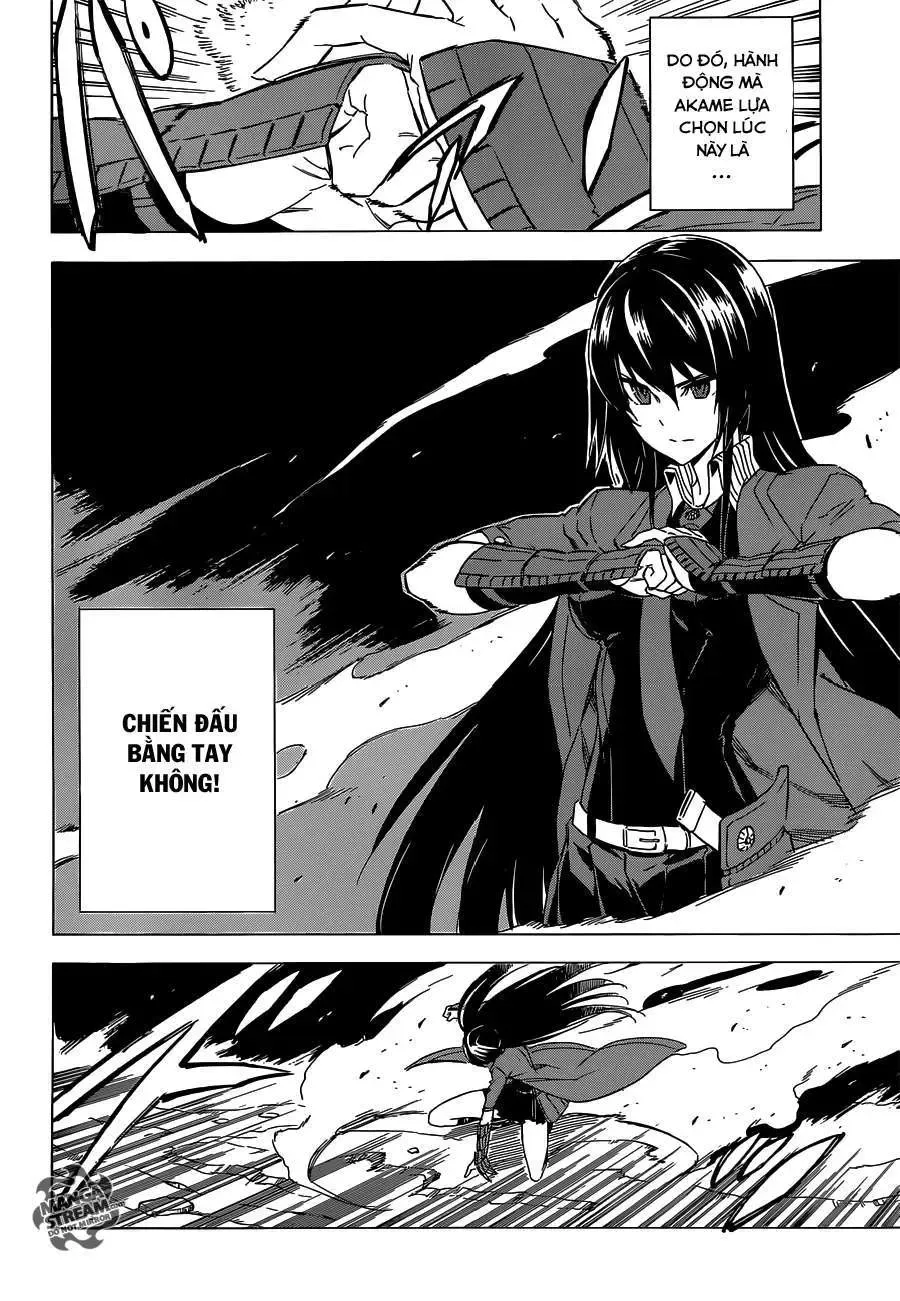 Akame Ga Kiru Chapter 59.1 - 14
