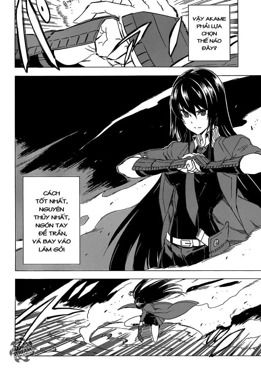 Akame Ga Kiru Chapter 59.2 - 14