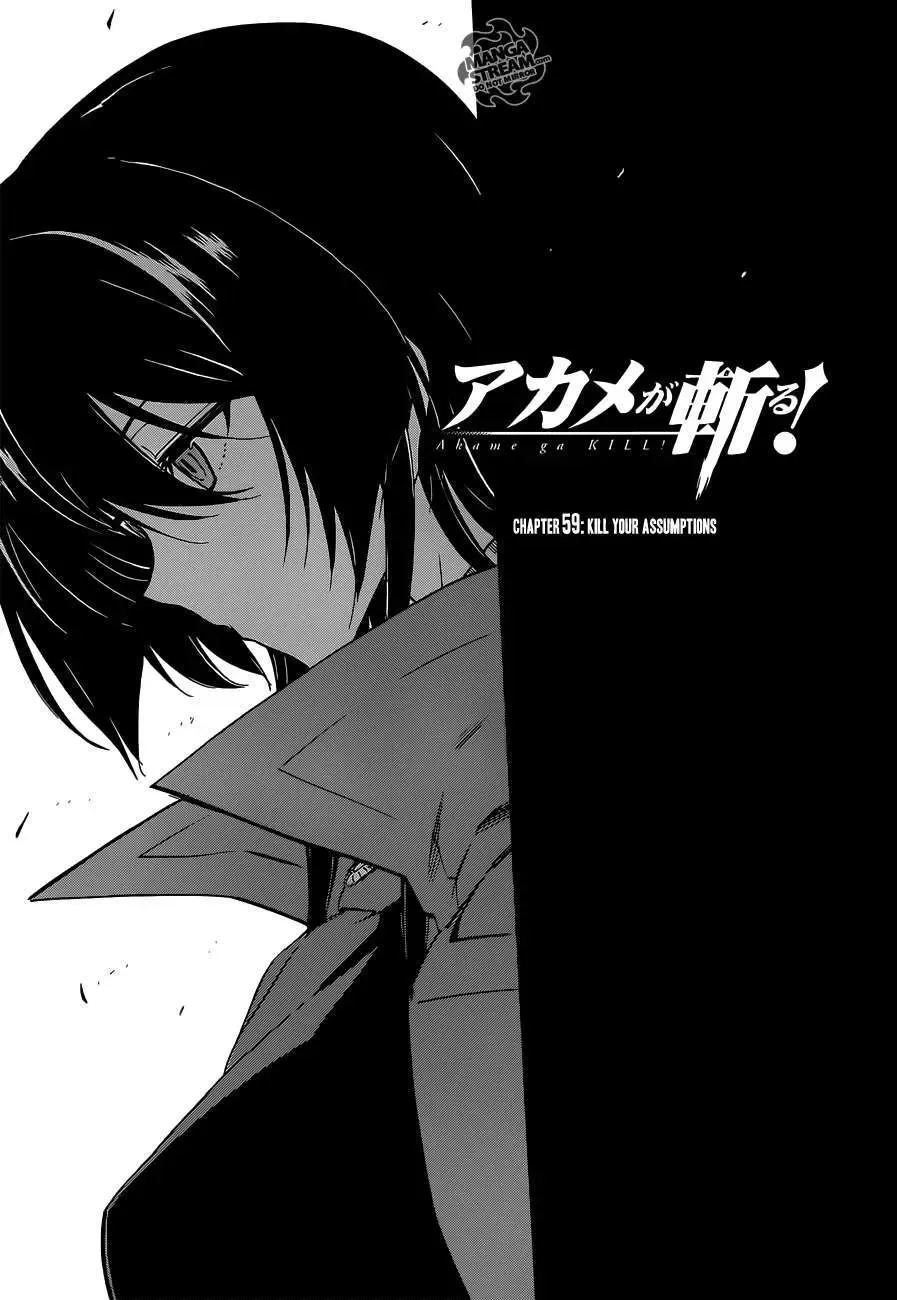 Akame Ga Kiru Chapter 59.2 - 4