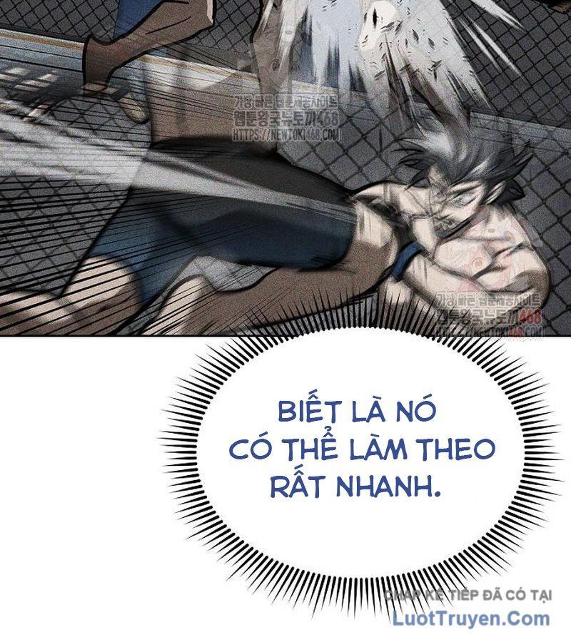 Vua Võ Đài Chapter 160 - 23