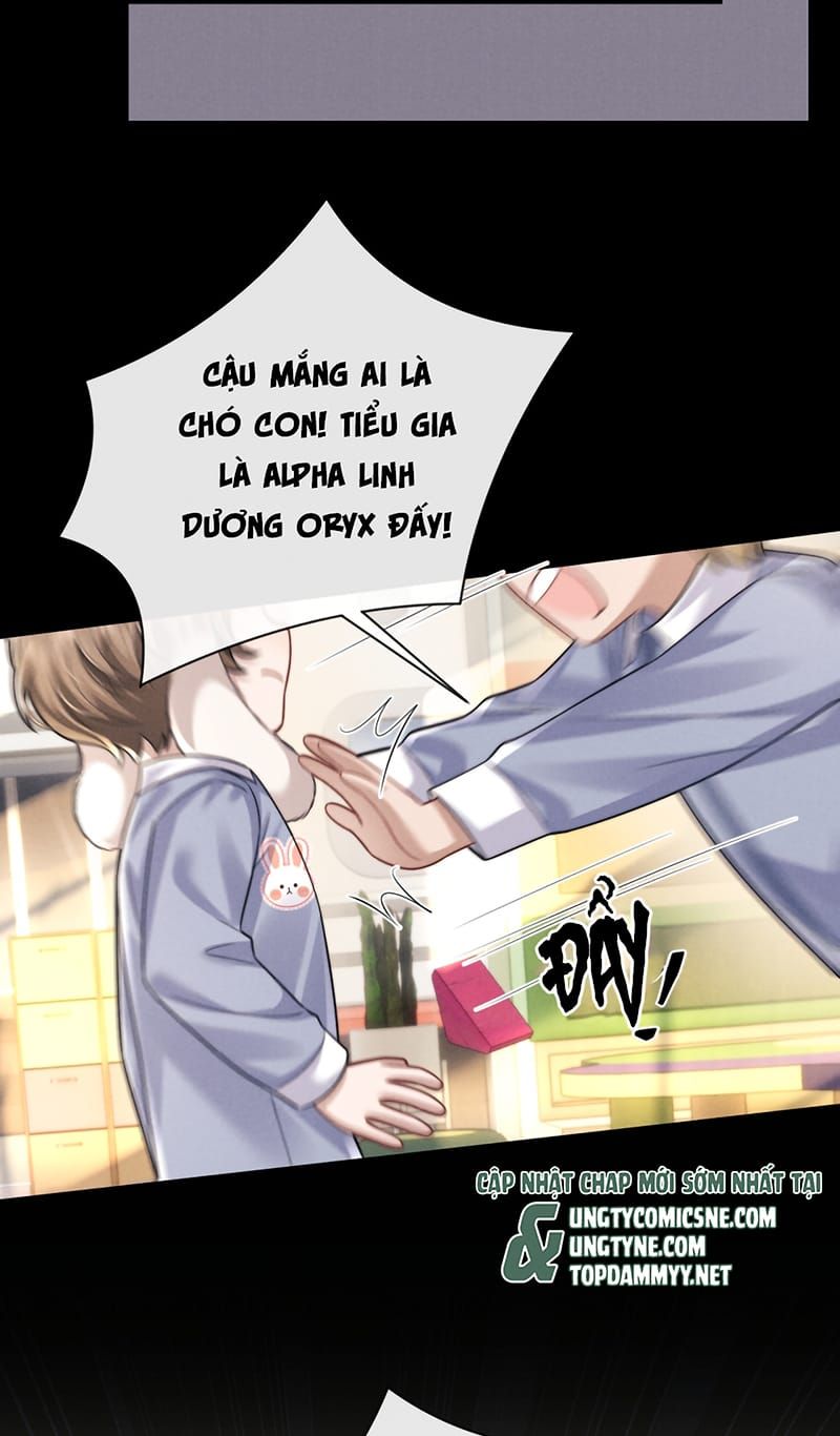 Chấp Sự Thỏ Cụp Tai Chapter 195 - 8