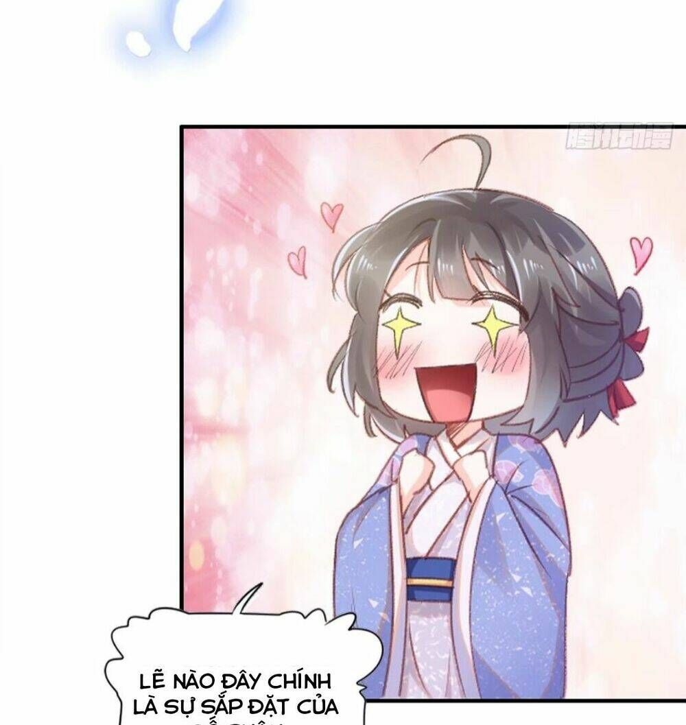 Thuần Hóa Ba Ba Bạo Quân Chapter 0 - 11