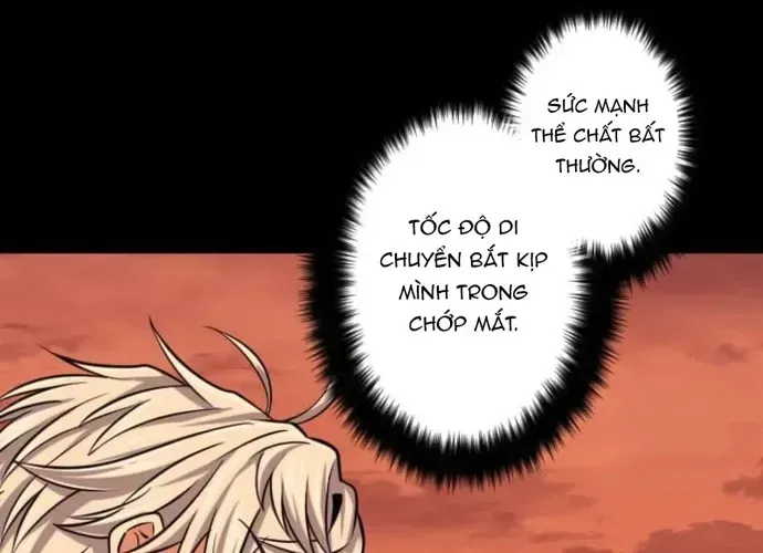 Đại Hiền Nhân Ma Thuật Cấp 99990000 Chapter 137 - 36