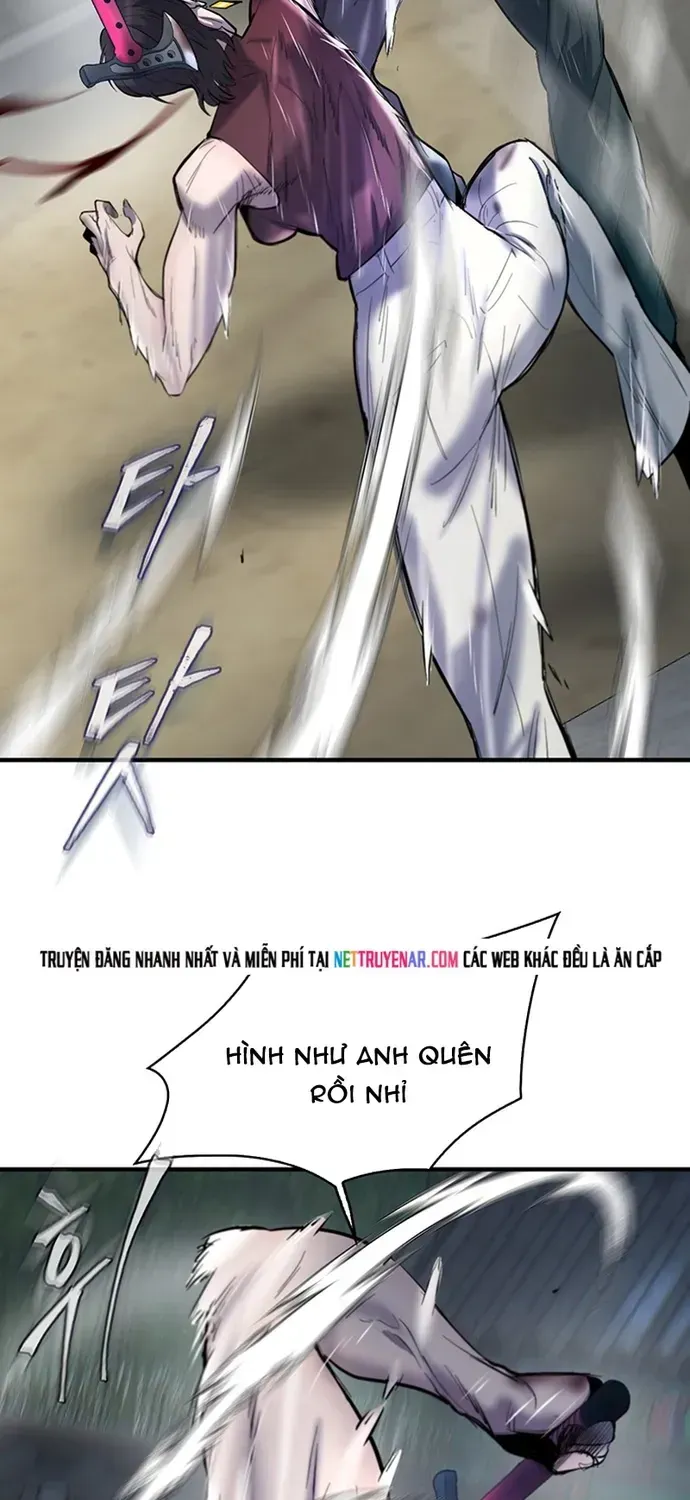 Bù Nhìn Chapter 135 - 13
