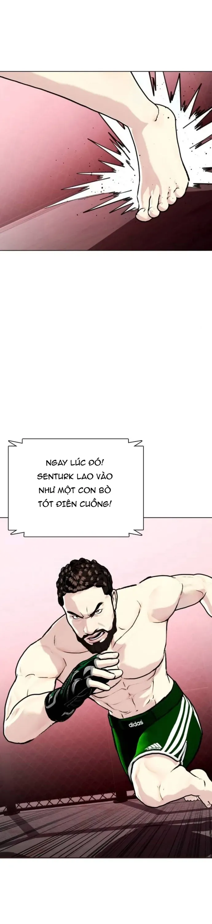 Loser Giỏi Võ Chapter 151 - 19