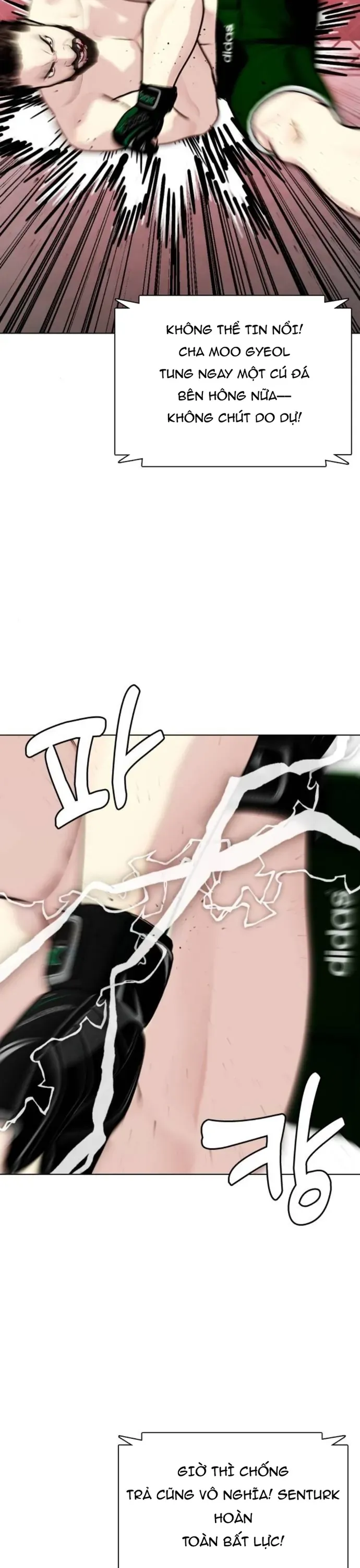 Loser Giỏi Võ Chapter 151 - 50