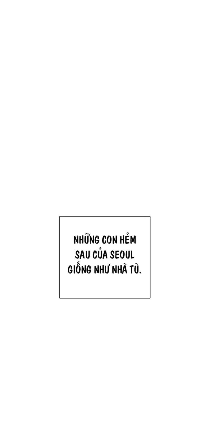 Loser Giỏi Võ Chapter 160 - 52