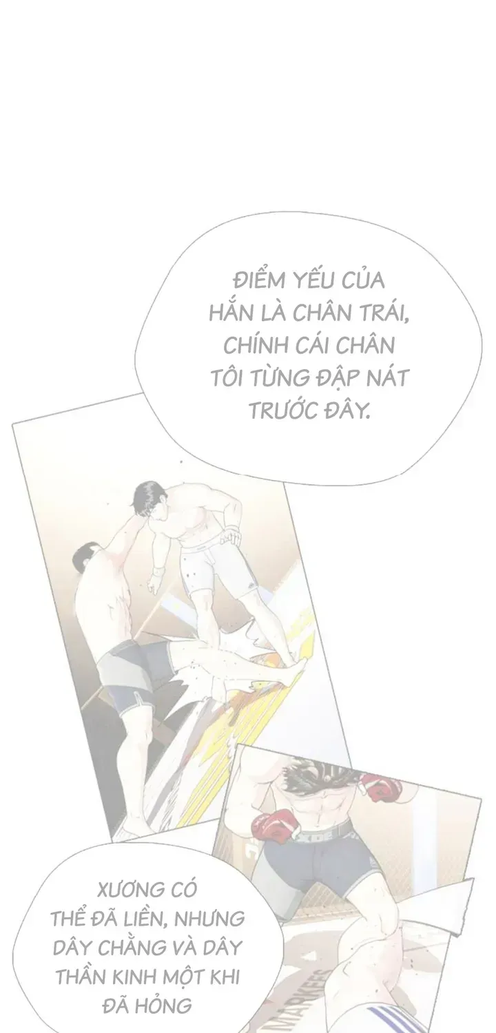 Loser Giỏi Võ Chapter 161 - 40