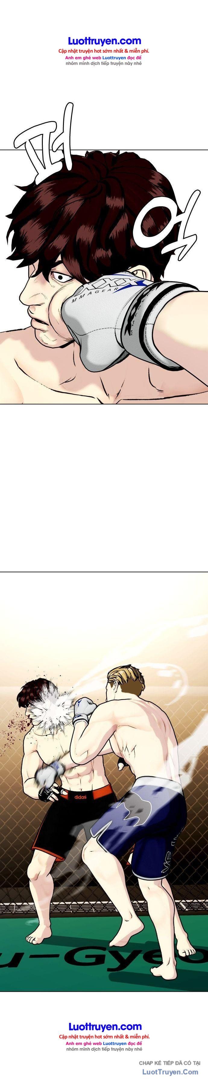 Loser Giỏi Võ Chapter 165 - 43