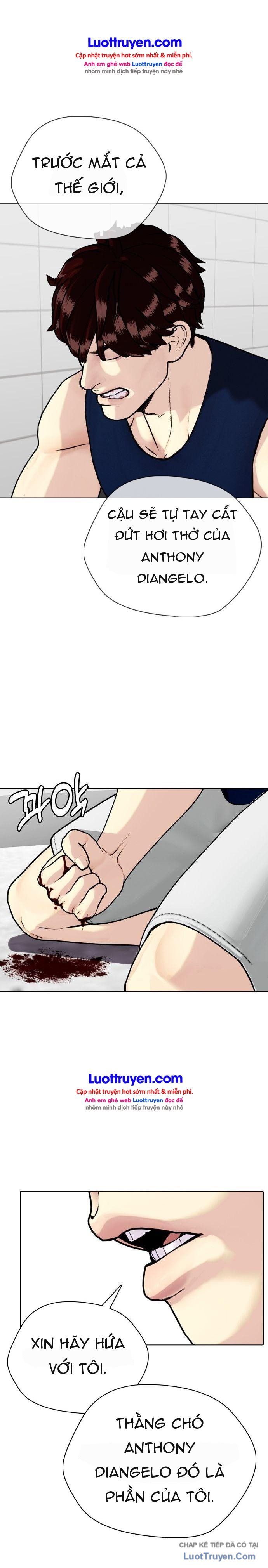Loser Giỏi Võ Chapter 168 - 17