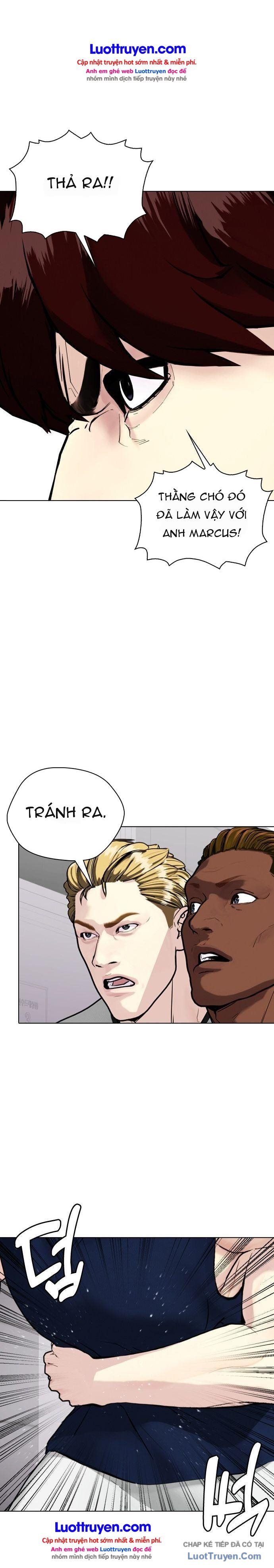 Loser Giỏi Võ Chapter 168 - 7