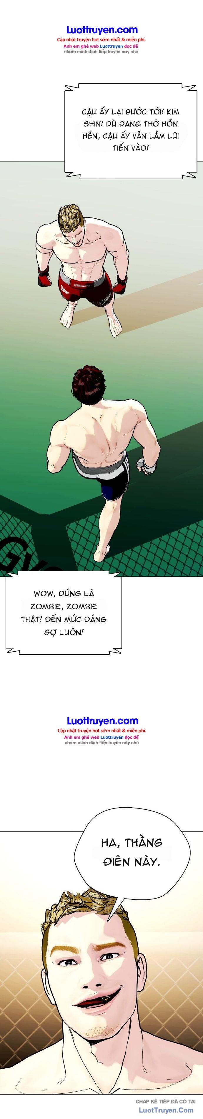 Loser Giỏi Võ Chapter 169 - 17
