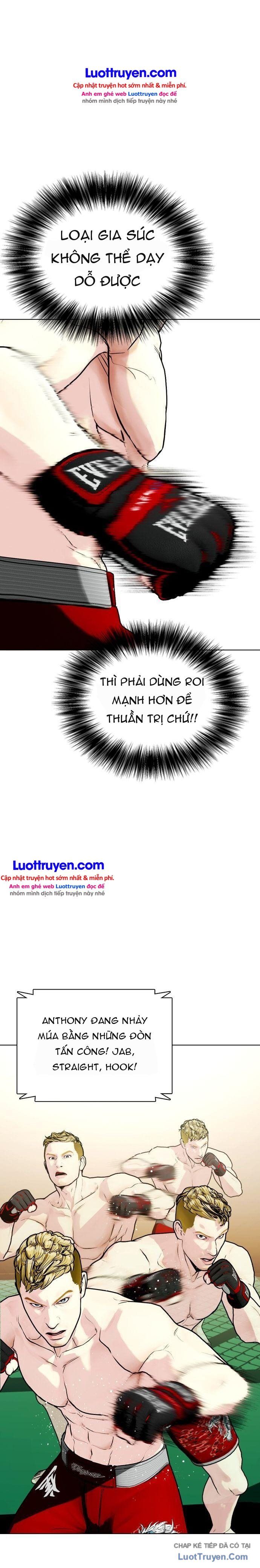Loser Giỏi Võ Chapter 169 - 18