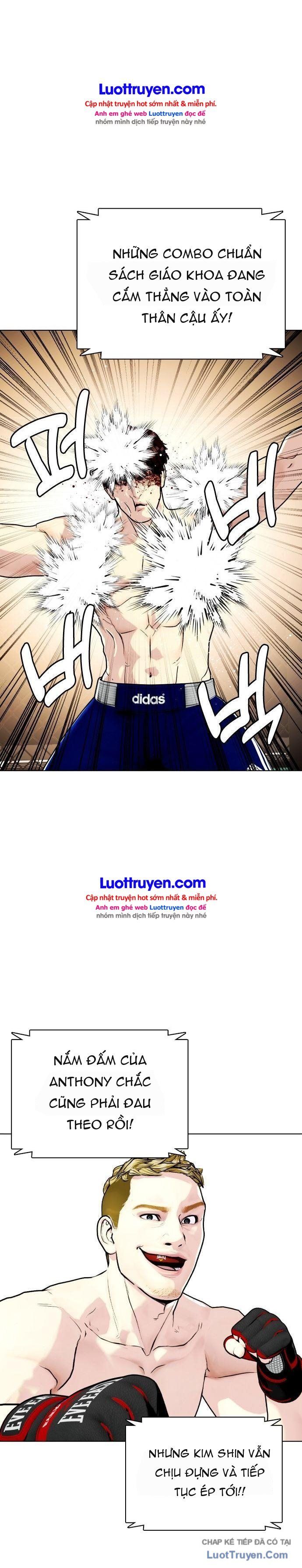 Loser Giỏi Võ Chapter 169 - 19