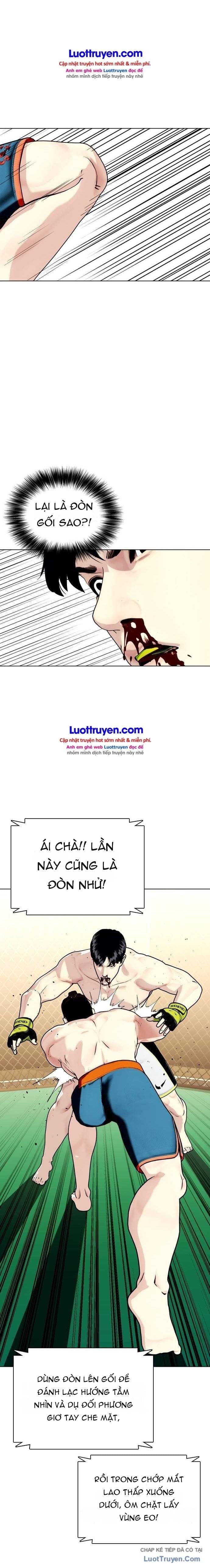 Loser Giỏi Võ Chapter 192 - 41