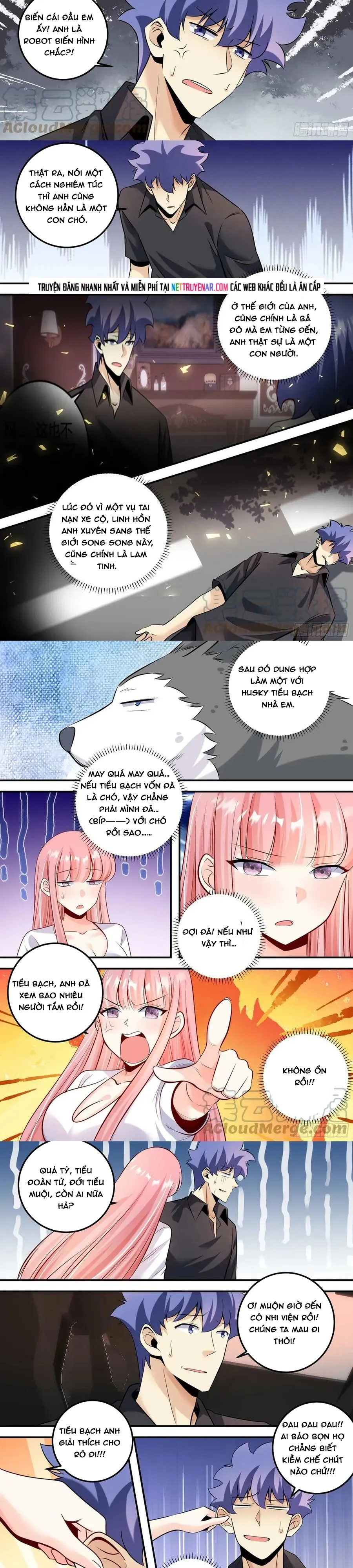 Trọng Sinh Thành Chó Của Nữ Thần Chapter 477 - 2