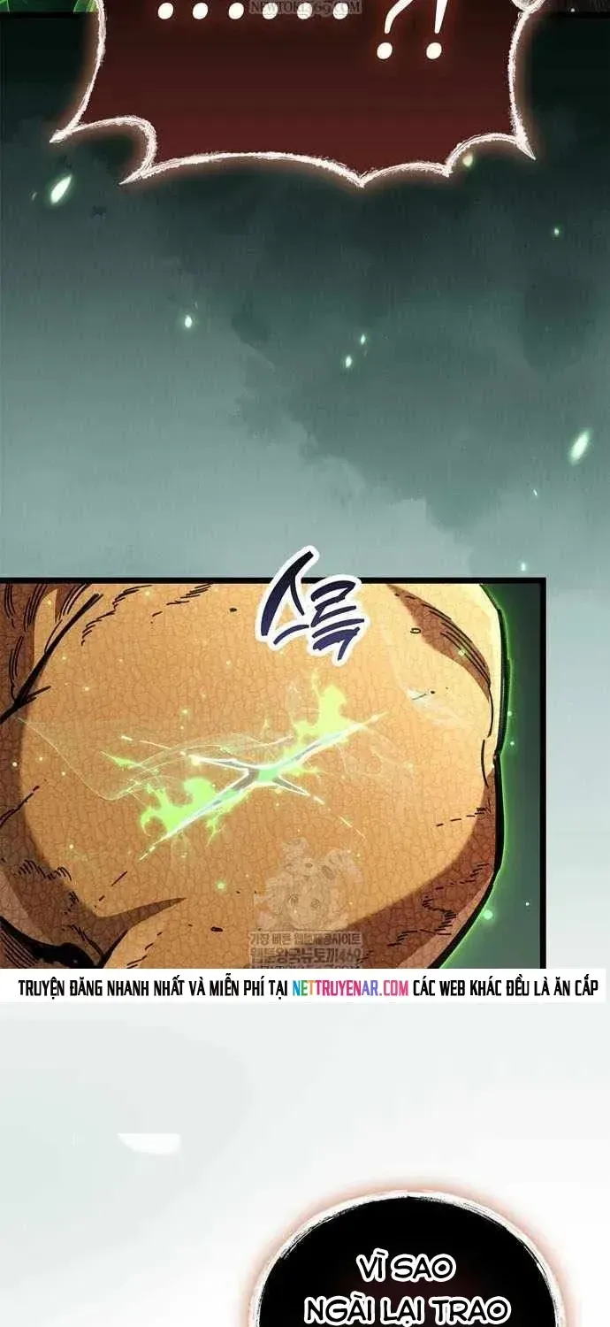 Người Chơi Che Giấu Quá Khứ Chapter 117 - 24