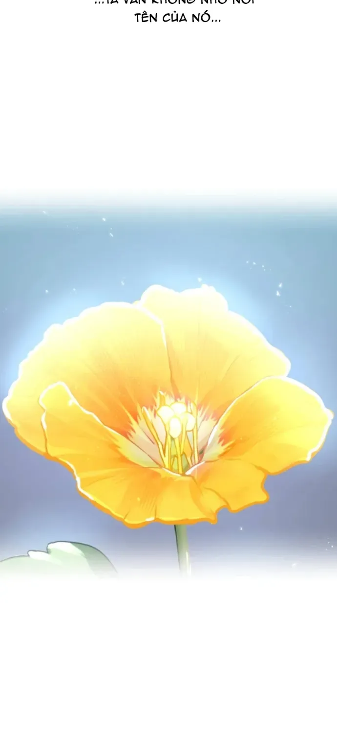 Huyết Thánh Cứu Thế Chủ~ Ta Chỉ Cần 0.0000001% Đã Trở Thành Vô Địch Chapter 161 - 80