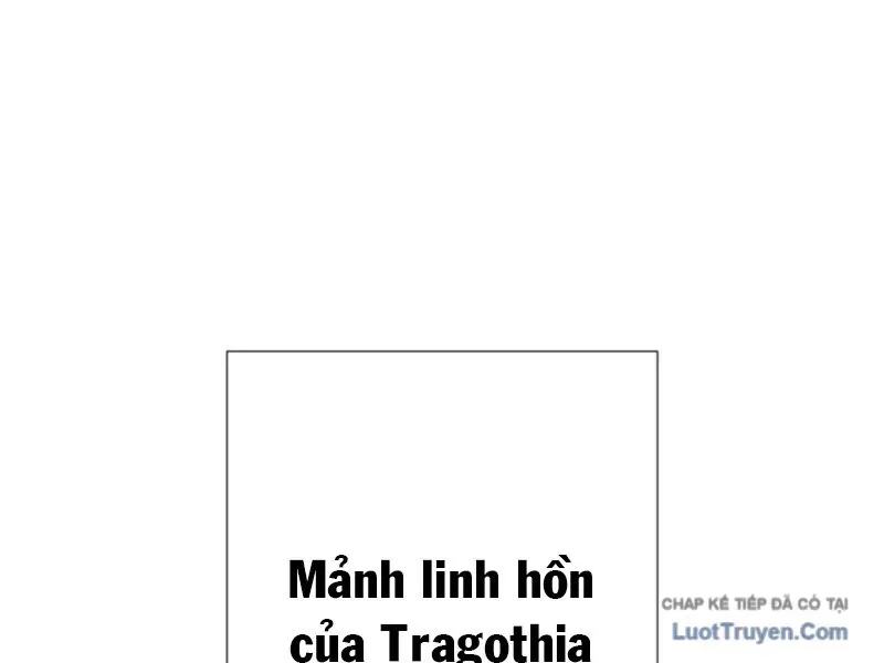 Huyết Thánh Cứu Thế Chủ~ Ta Chỉ Cần 0.0000001% Đã Trở Thành Vô Địch Chapter 165 - 164