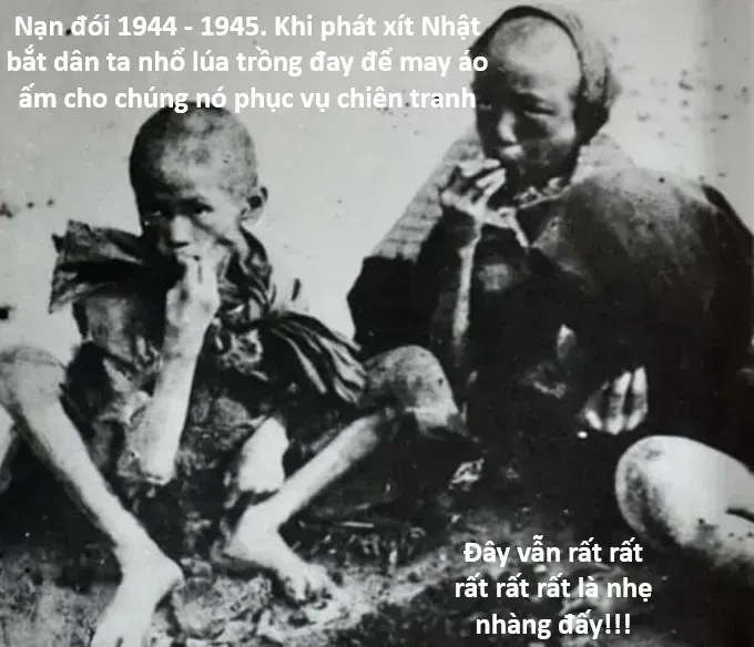 Hổ Đến Chơi Nhà Chapter 178 - 3