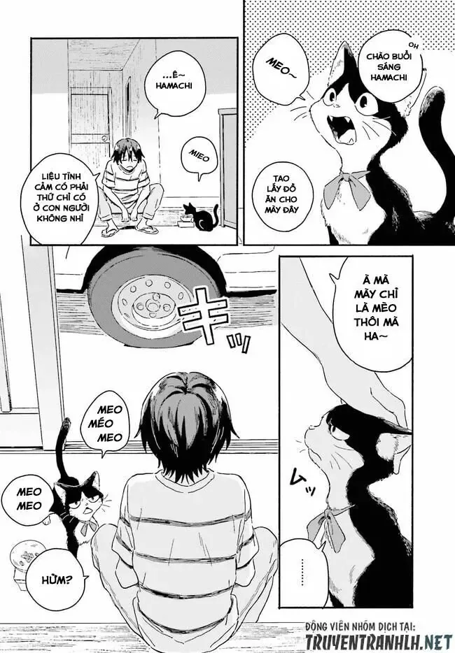 Nàng Hầu Cá Mập Bên Bờ Biển Chapter 3 - 8