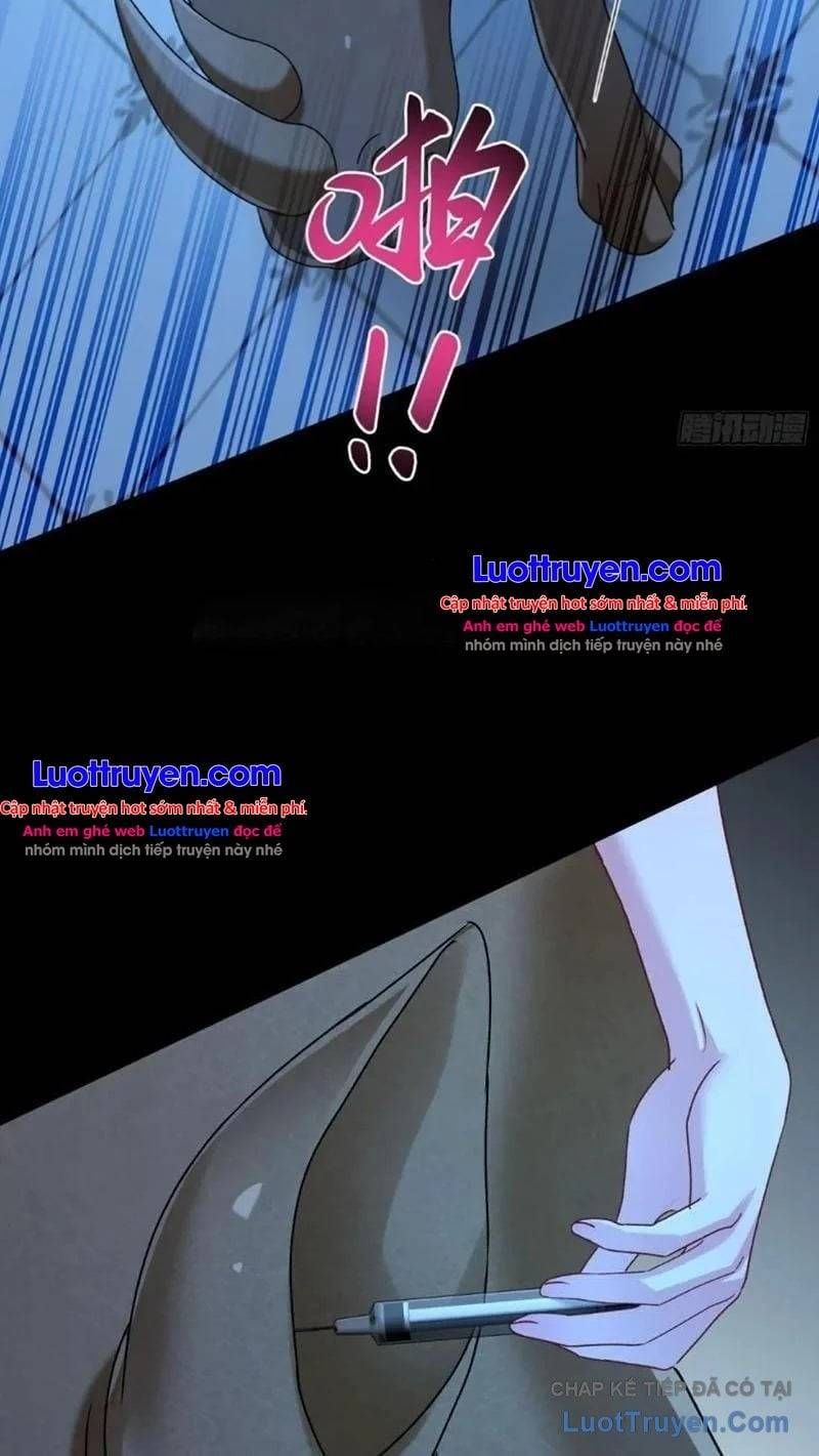 Bỏ Làm Simp Chúa, Ta Có Trong Tay Cả Tỉ Thần Hào! Chapter 343 - 19