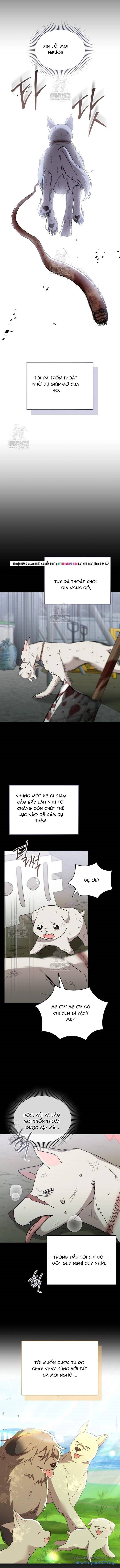 Xin Chào! Bác Sĩ Thú Y Chapter 114.5 - 9