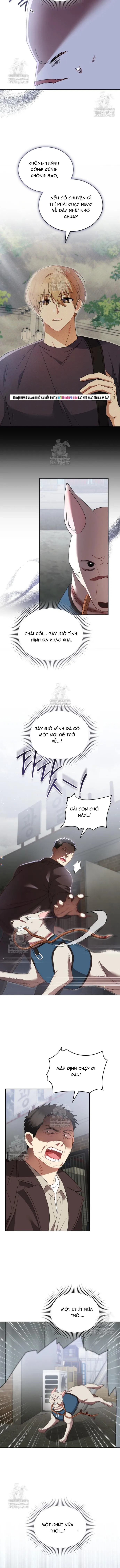 Xin Chào! Bác Sĩ Thú Y Chapter 117 - 2
