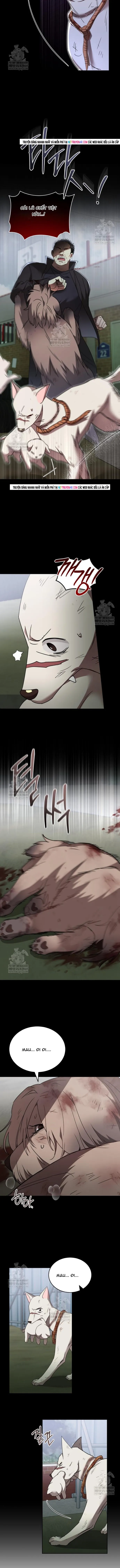 Xin Chào! Bác Sĩ Thú Y Chapter 120 - 8