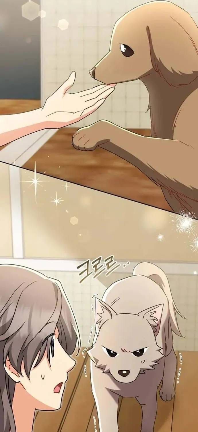 Xin Chào! Bác Sĩ Thú Y Chapter 121 - 27