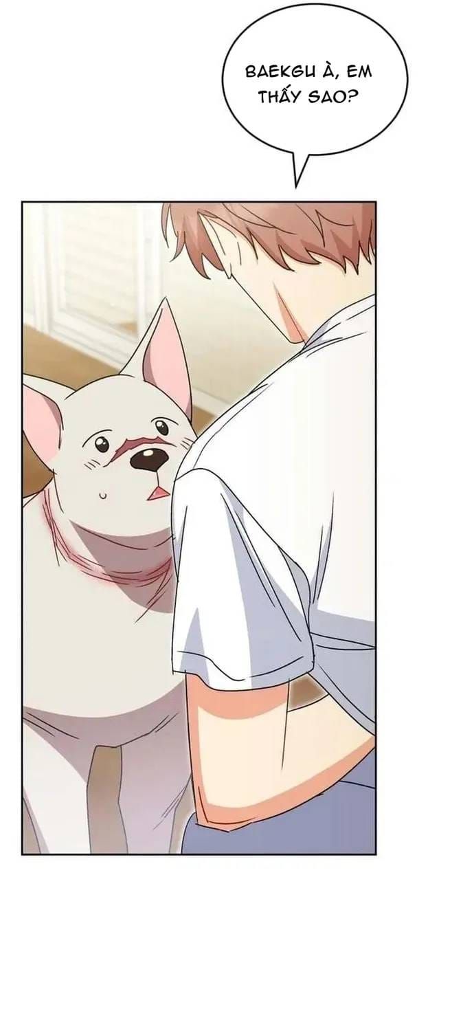 Xin Chào! Bác Sĩ Thú Y Chapter 121 - 65