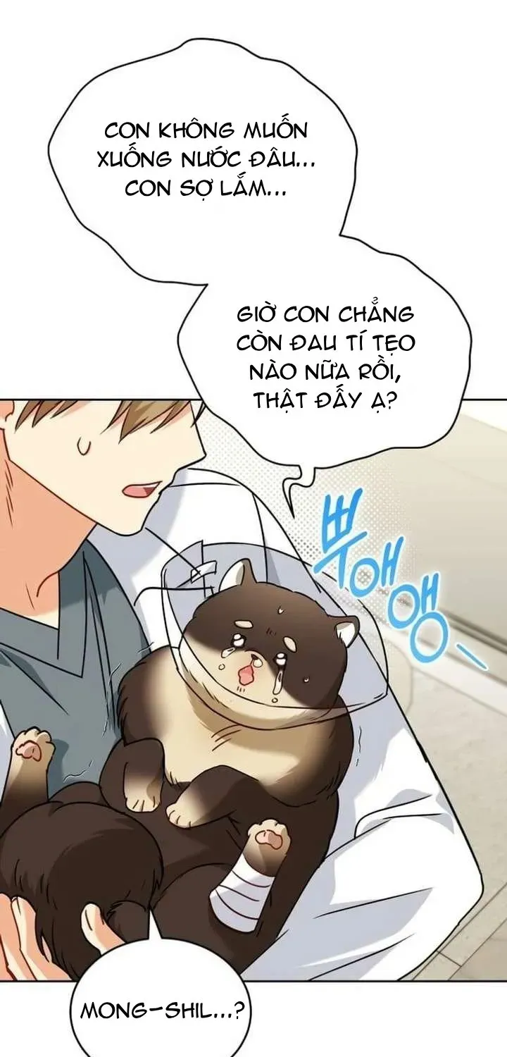 Xin Chào! Bác Sĩ Thú Y Chapter 128 - 27