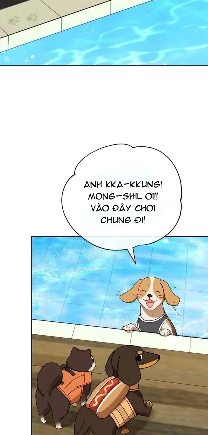 Xin Chào! Bác Sĩ Thú Y Chapter 129 - 50