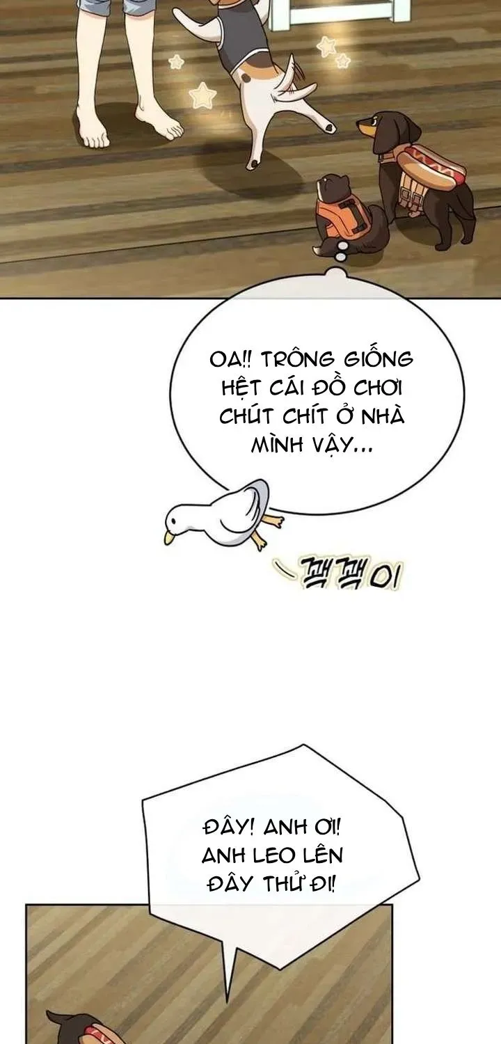 Xin Chào! Bác Sĩ Thú Y Chapter 129 - 59