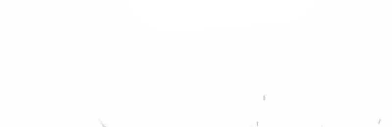 Huấn Luyện Chiến Đấu Siêu Cấp Chapter 77 - 108