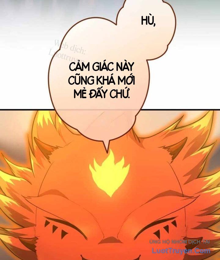 Pháp Sư Cận Chiến Hồi Quy Chapter 33 - 139