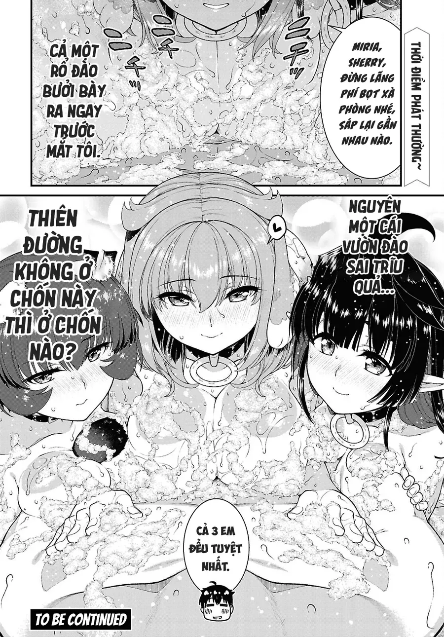 Thiết Lập Dàn Harem Tại Thế Giới Khác Chapter 108 - 13