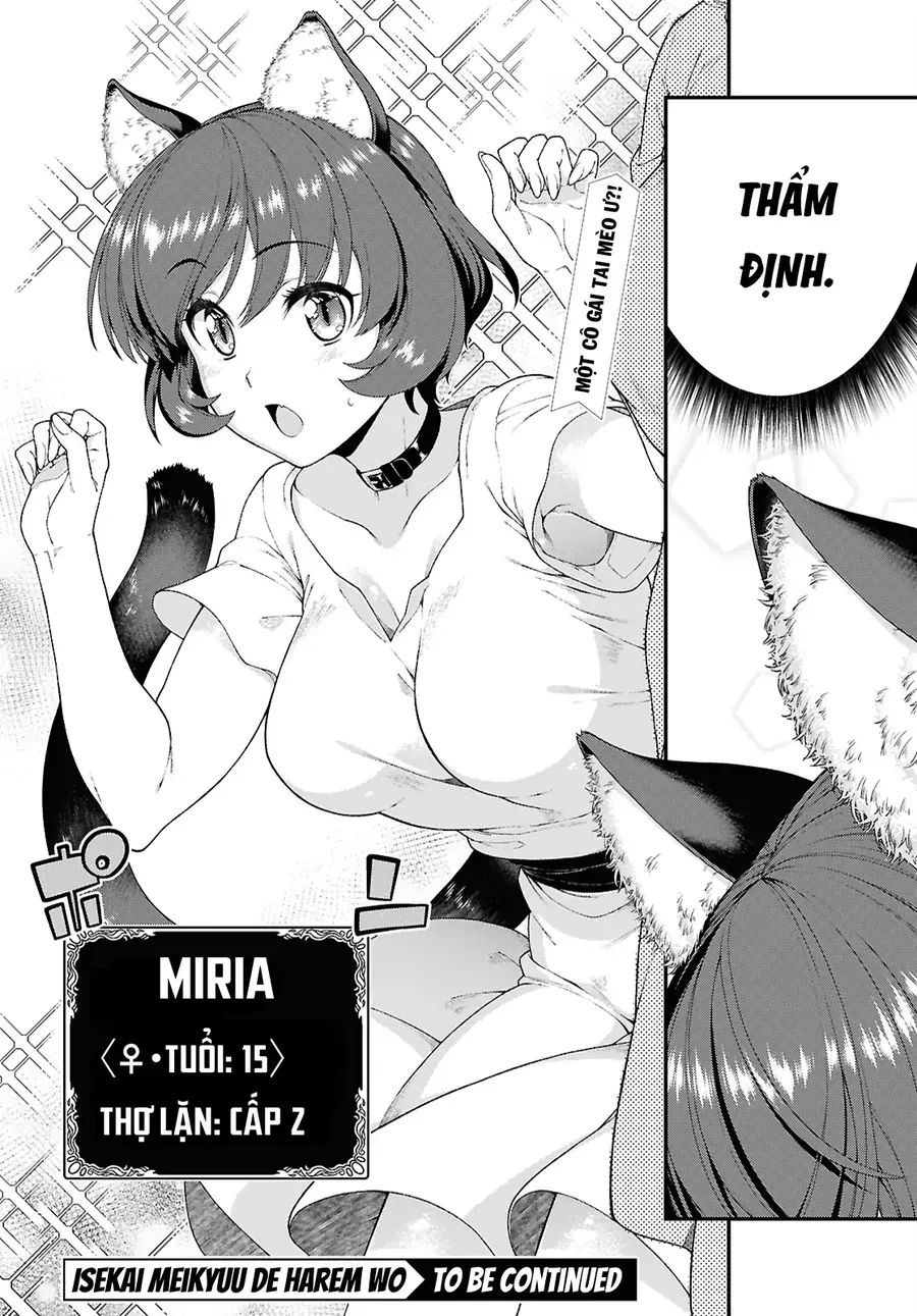 Thiết Lập Dàn Harem Tại Thế Giới Khác Chapter 92 - 17