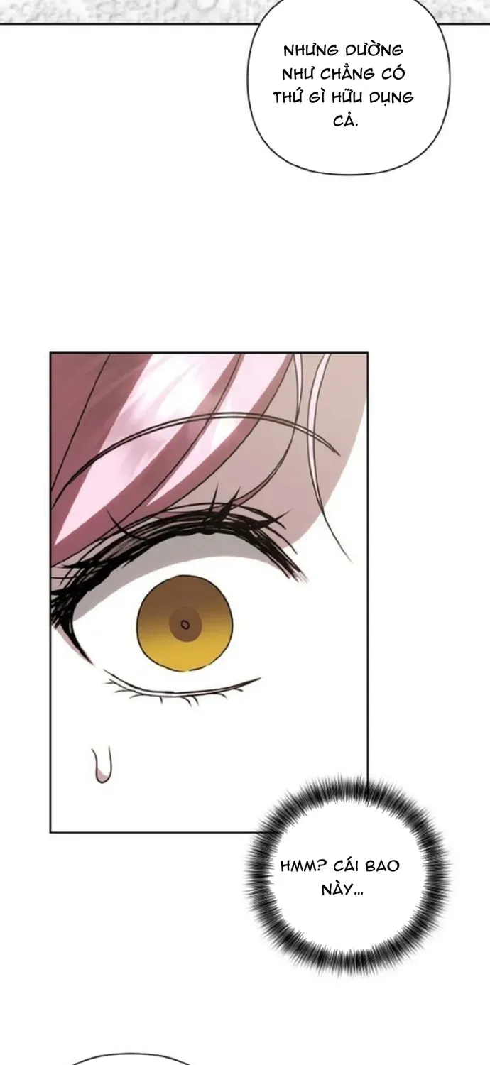 Phải Lòng Nhân Vật Phản Diện Từ Cái Nhìn Đầu Tiên Chapter 38 - 62