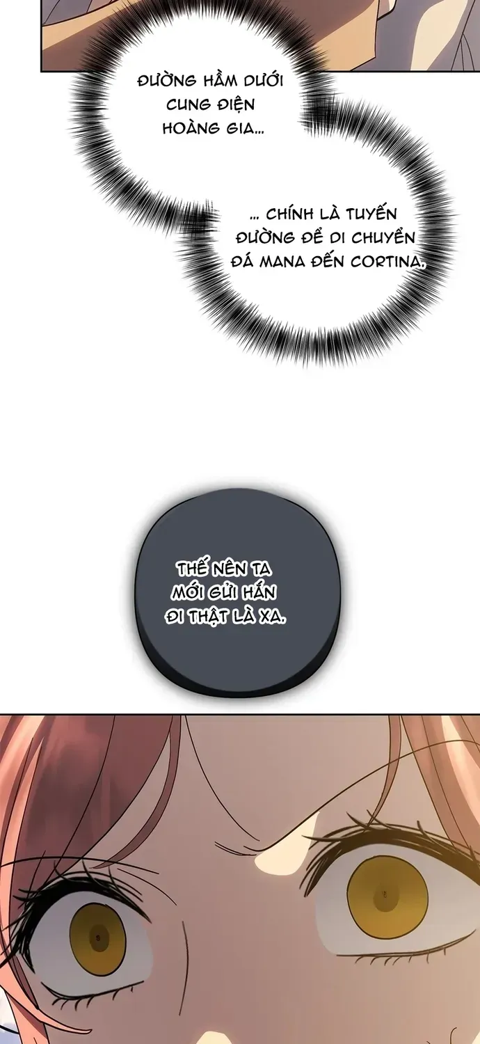 Phải Lòng Nhân Vật Phản Diện Từ Cái Nhìn Đầu Tiên Chapter 65 - 39