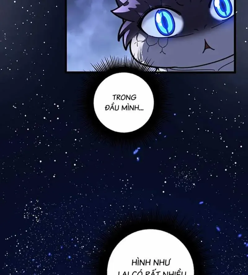 Lão xà tu tiên truyện Chapter 2.1 - 31