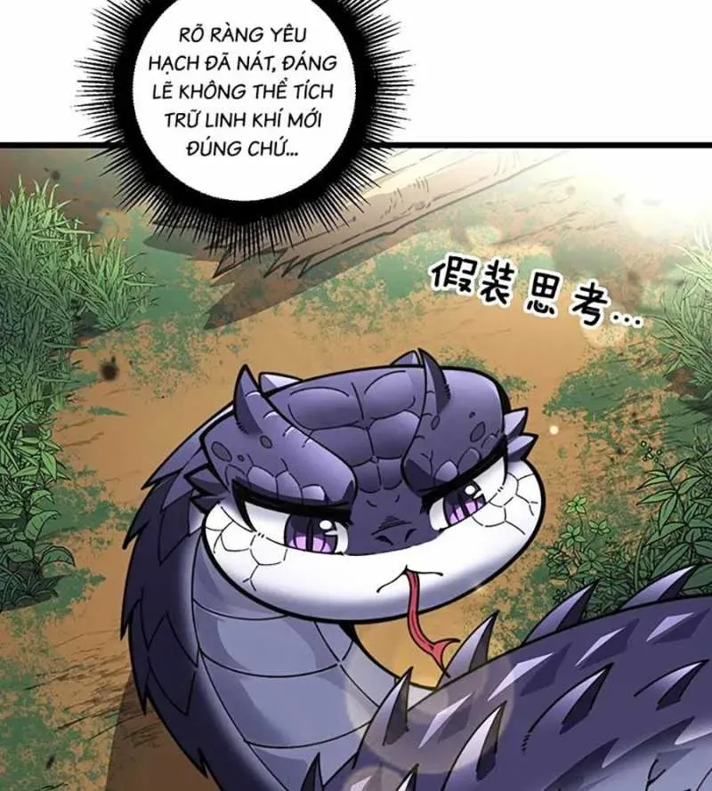 Lão xà tu tiên truyện Chapter 2.1 - 47